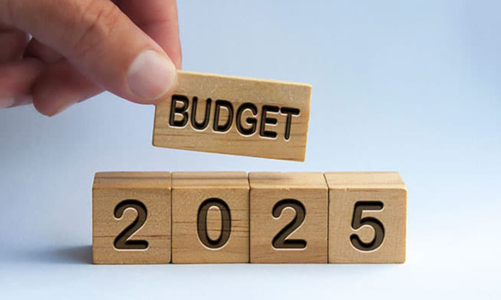 From Tajuddin to Salehuddin: A Glimpse of 54 Budgets