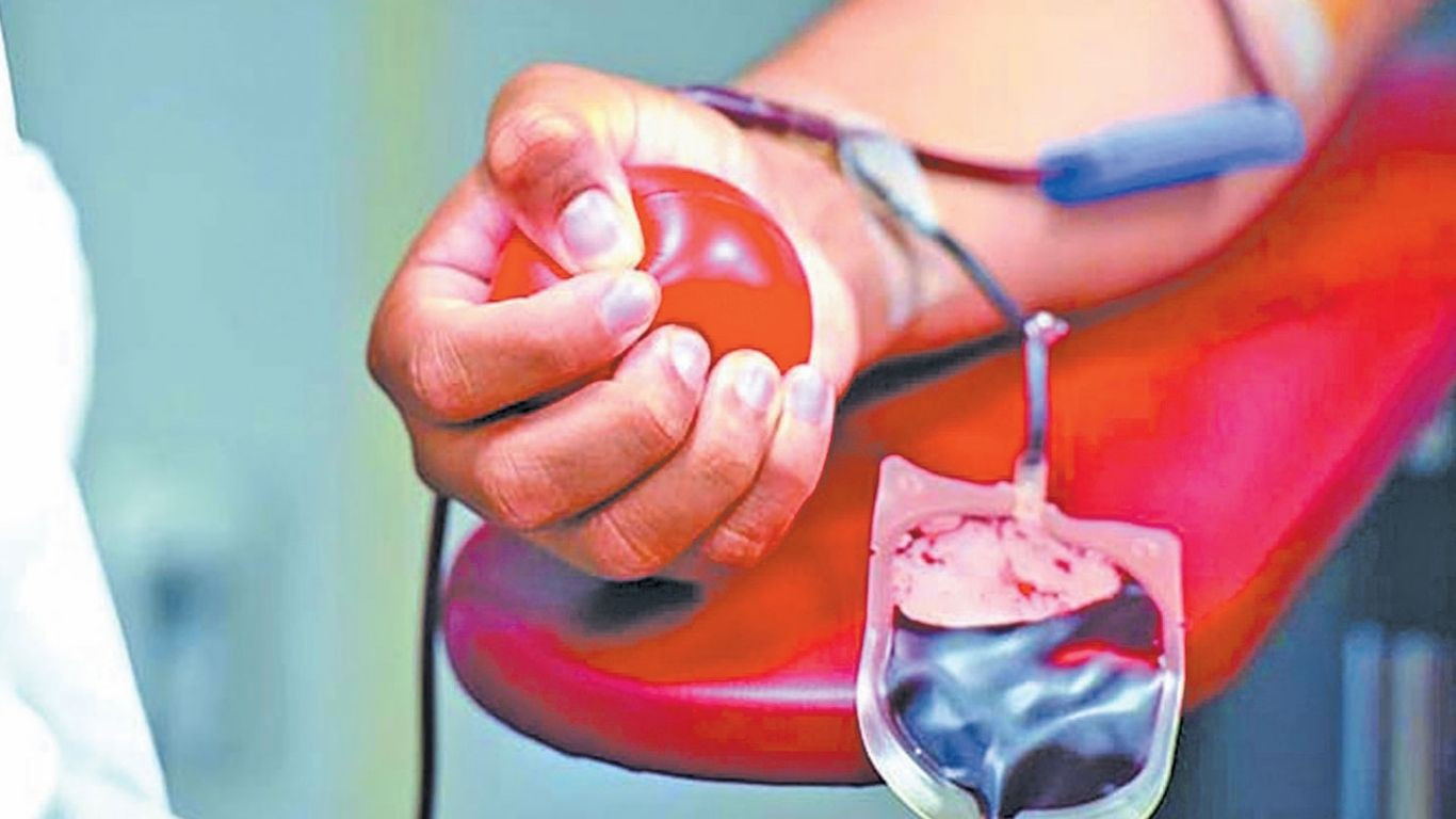 Young Blood, Unequal Veins