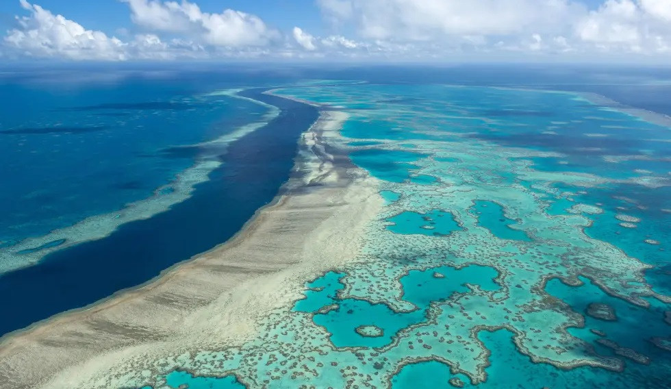 Climate crisis driving divers to restore Great Barrier Reef: Australian Study