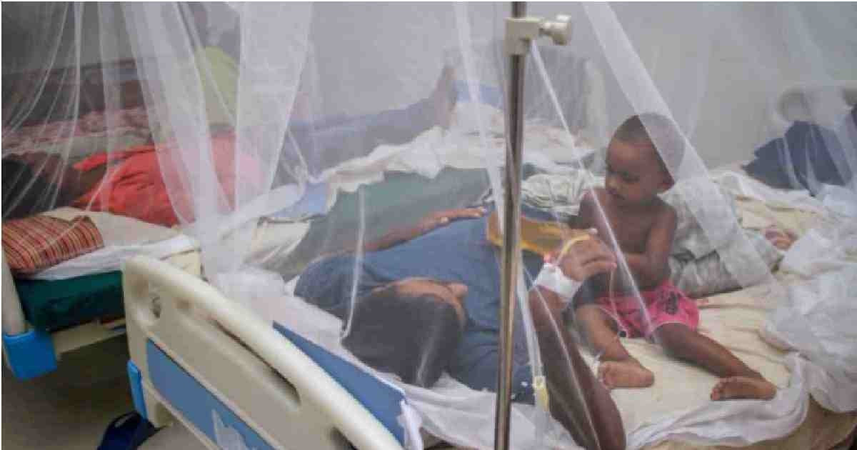Dengue claims 2 more lives in 24hrs