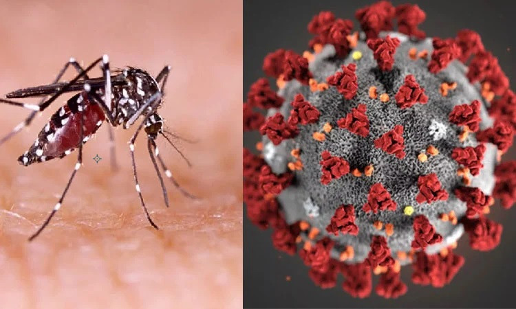 BMU sounds alarm as COVID, dengue cases surge