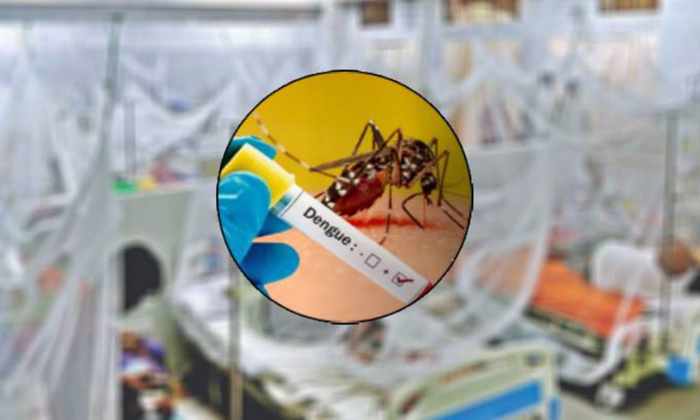 Dengue death toll hits 40 with two new fatalities