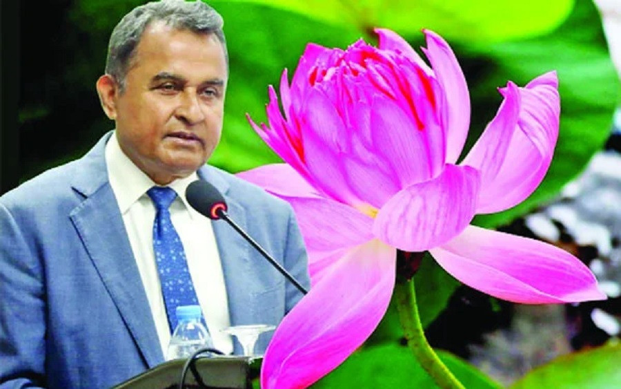 Bank accounts emptied before seizure, immovable assets untouched