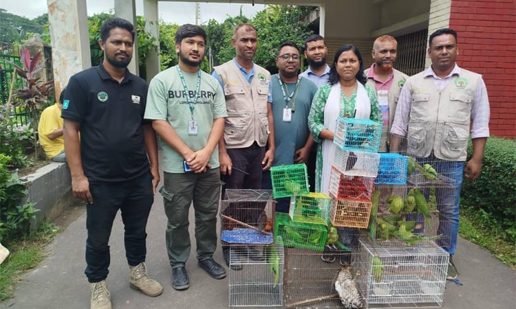 50 native wild animals rescued from bird shops in Mirpur