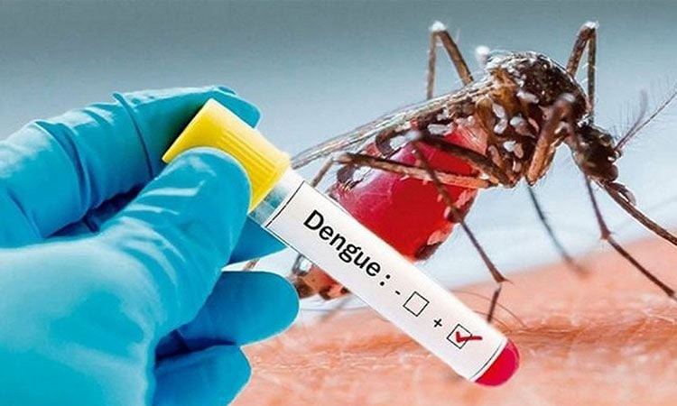 One more dies from dengue