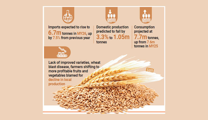 Wheat imports to rise amid falling output and growing demand