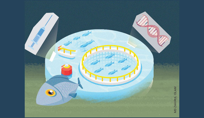 GOVT MOVES TO CUT FISH MORTALITY BY 80% THROUGH ADVANCED RESEARCH