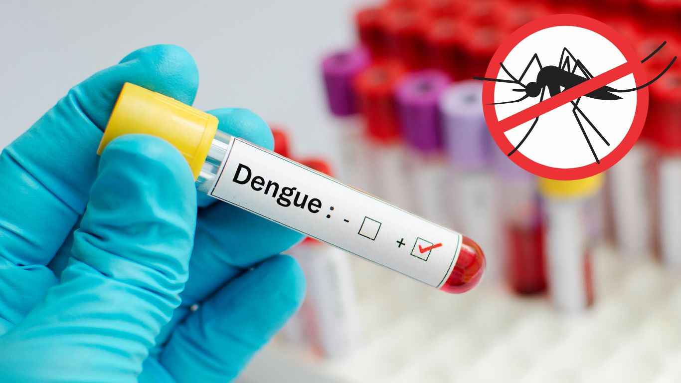 Dengue: Five dead, 1,162 hospitalised in a single day