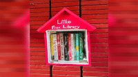 ‘Little Free Libraries’ adorn walls across DU