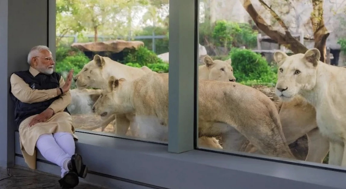 India mega-zoo in spotlight again over animal acquisitions
