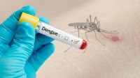 Three more die of dengue in 24hrs, 833 hospitalised