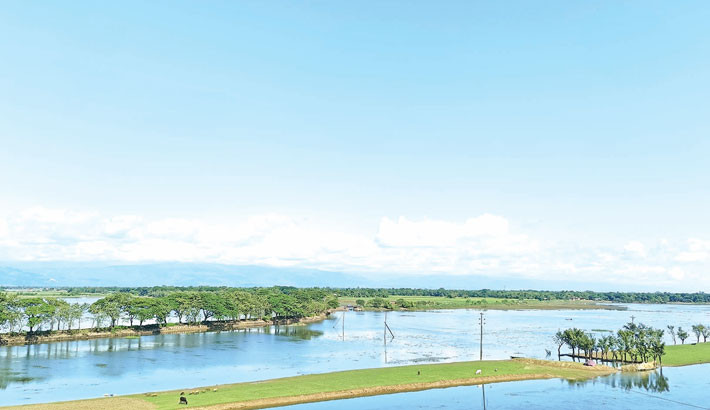 The water levels in the haor areas of Sunamganj are receding as winter approaches, rekindling hope among farmers. Many cultivators have begun preparing seedbeds ahead of the Boro season, while others are marking land boundaries or ploughing fields with tractors along the banks of Shani Haor and Kharchar Haor. The photo was taken on Friday.	 – JAHANGIR ALAM