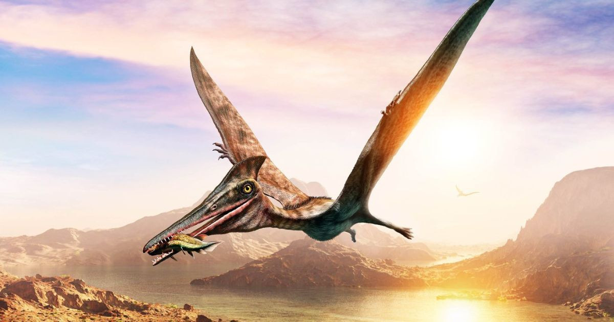 Ancient fossil proves some pterosaurs preferred eating plants over meat