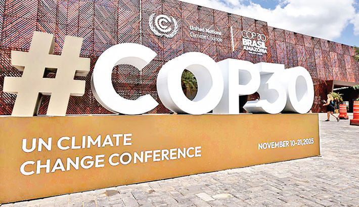 World ‘will suffer’ without fossil fuels: Russia's COP30 negotiator