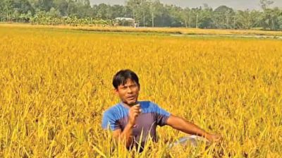 Zero-tillage mustard farming gains ground in Domar