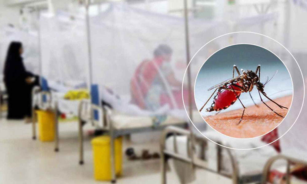 5 die from dengue, 1,139 hospitalised in 24 hours