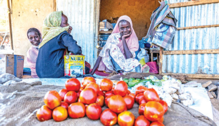 A girl sits next to a pile of tomatoes in the market at Oure Cassoni camp in Chad on 14 November, 2025. With the last army stronghold in Sudan’s western Darfur region having fallen to paramilitary forces on 26 October, the United Nations expects a mass influx of refugees, but it is unclear how many will actually make it to neighbouring Chad. Photo: Courtesy