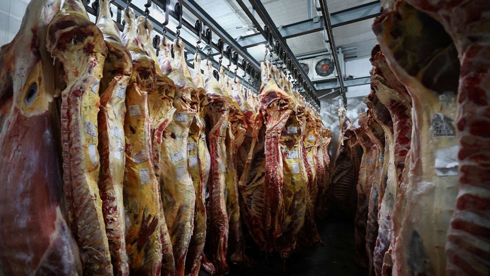 Trump signs order to remove tariffs from Brazilian beef, coffee