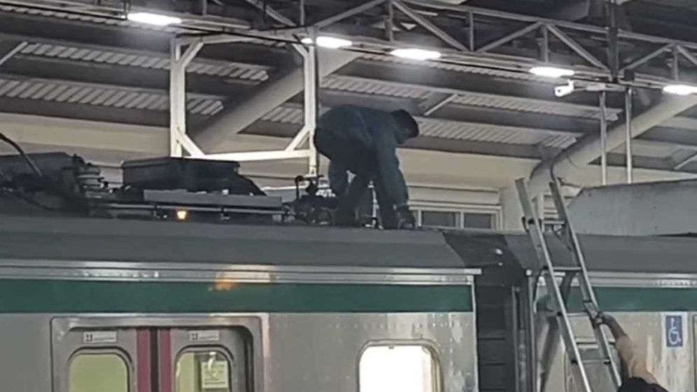 Metro rail services halted after man climbs to roof