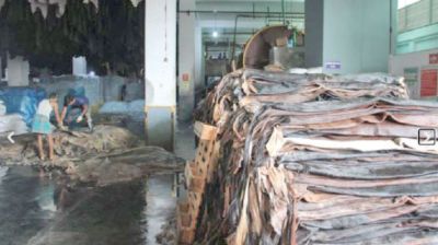 Widespread labour violations in Savar Tannery Estate, says new study