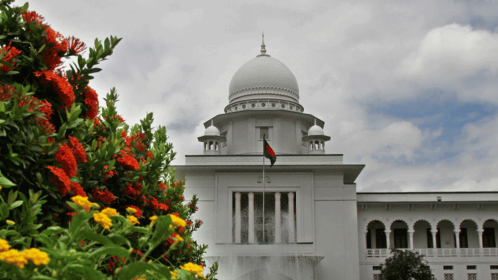 Oath of interim government is valid: Appellate Division