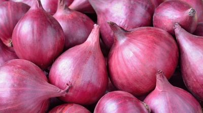 Govt allows to import 1,500 tonnes of onions from India