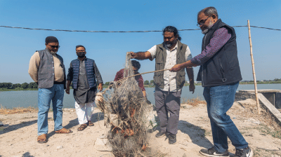 Photowalk captures crisis as bird hunters decimate Bangladesh's wildlife