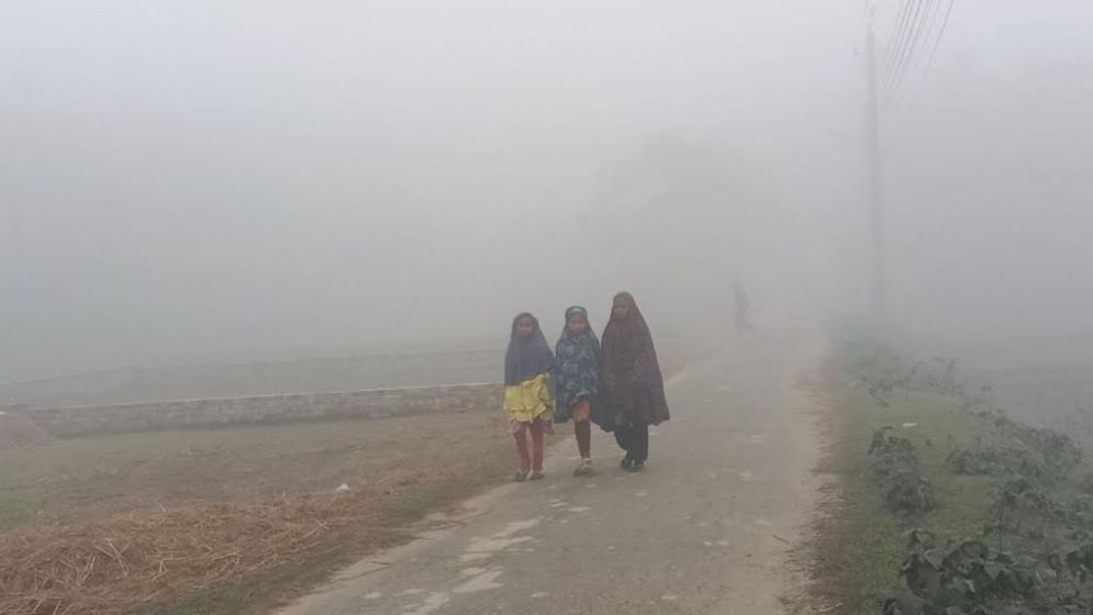 Mercury dips to 8 degree Celsius in Jashore