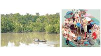Sundarbans sees tourist surge as peak season continues