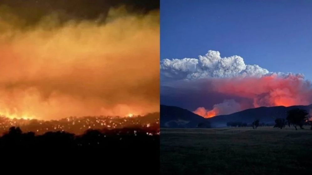 Australia declares state of disaster as bushfires rage