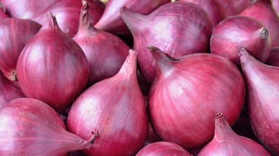 Onion imports from India halted through Benapole for two weeks