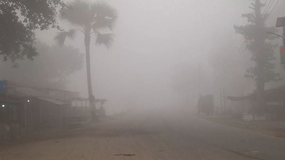 No major cold wave likely for rest of January: BMD