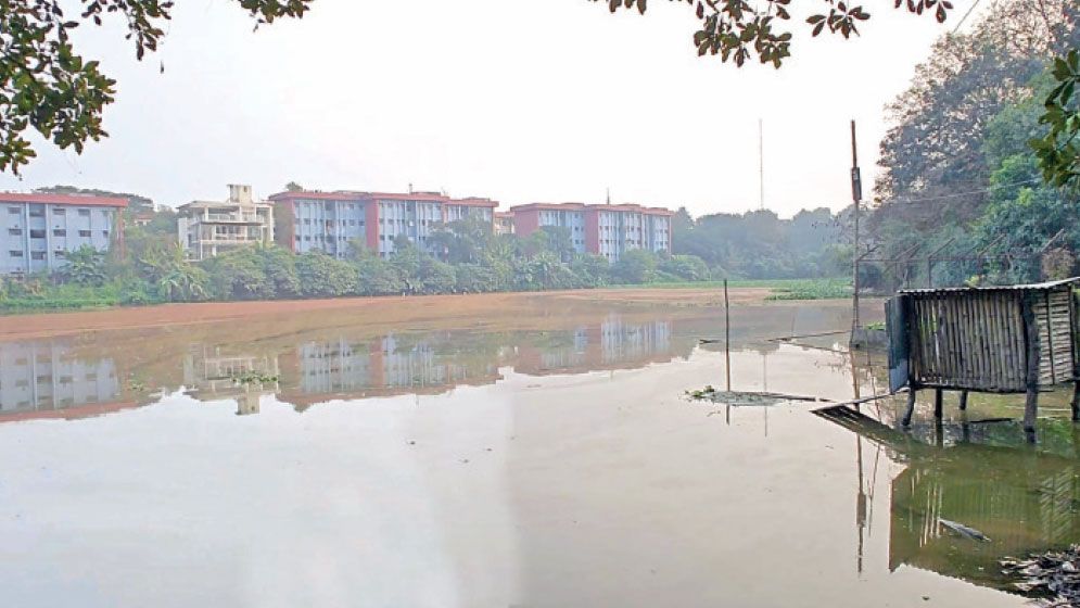 Winters without birds at Jahangirnagar University