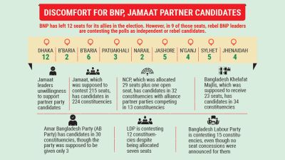 BNP, Jamaat partners struggle amid rebel candidates, weak coordination