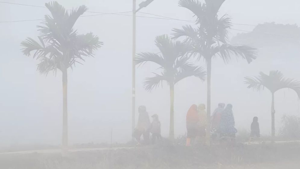 Cold wave may push temperatures down to 8.0°C in February