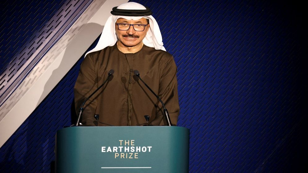 Dubai's DP World boss removed from post after pressure over Epstein