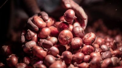 Onion prices rise sharply as Ramadan begins, consumers feel heat