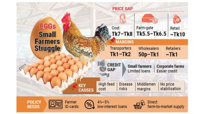 Small poultry farmers struggle as production costs rise