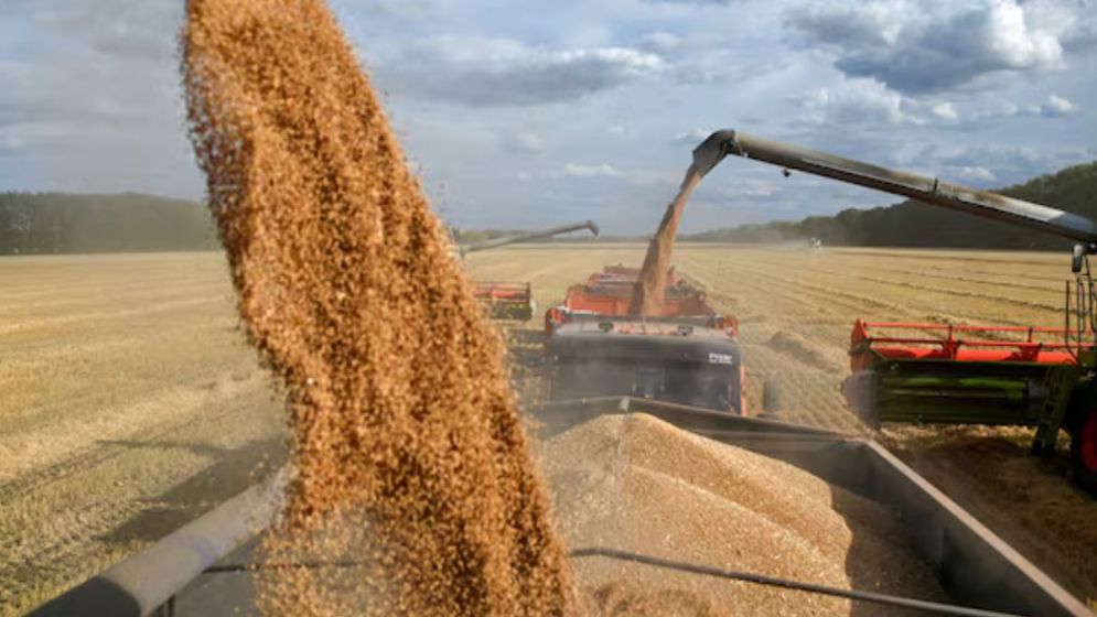 58,457 tonnes of US wheat arrive at Mongla Port