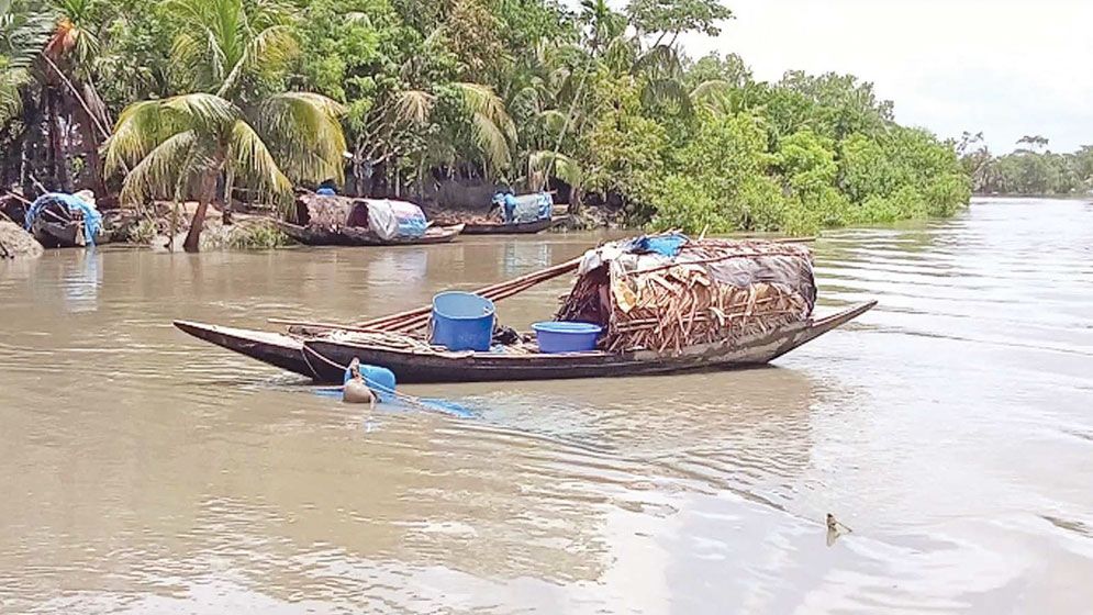 Natural fish production declining in Khulna region rivers
