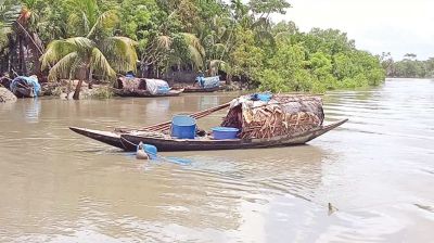 Natural fish production declining in Khulna region rivers