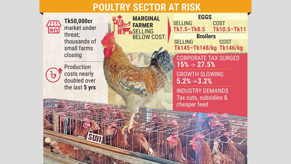 Poultry sector seeks tax relief to avert crisis