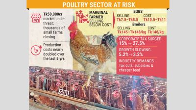 Poultry sector seeks tax relief to avert crisis