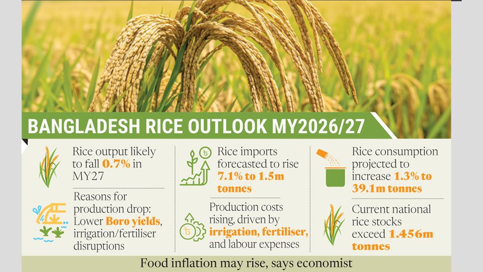 Imports to rise as irrigation crisis threatens Boro output