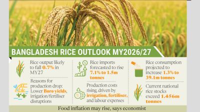 Imports to rise as irrigation crisis threatens Boro output