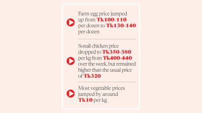 Consumers feel the heat as vegetable, egg, chicken prices skyrocket simultaneously