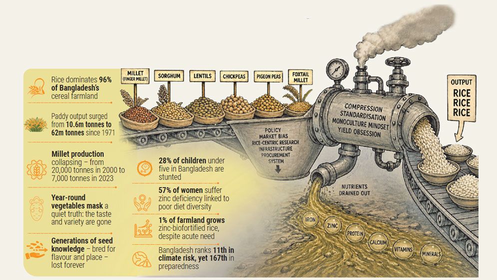 Forgotten nutritional crops: A hidden crisis beyond the rice fields