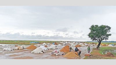 Rain, low paddy prices deepen crisis for Sunamganj haor farmers