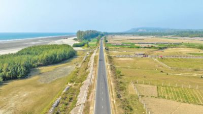 3,000 trees saved in Cox’s Bazar Marine Drive