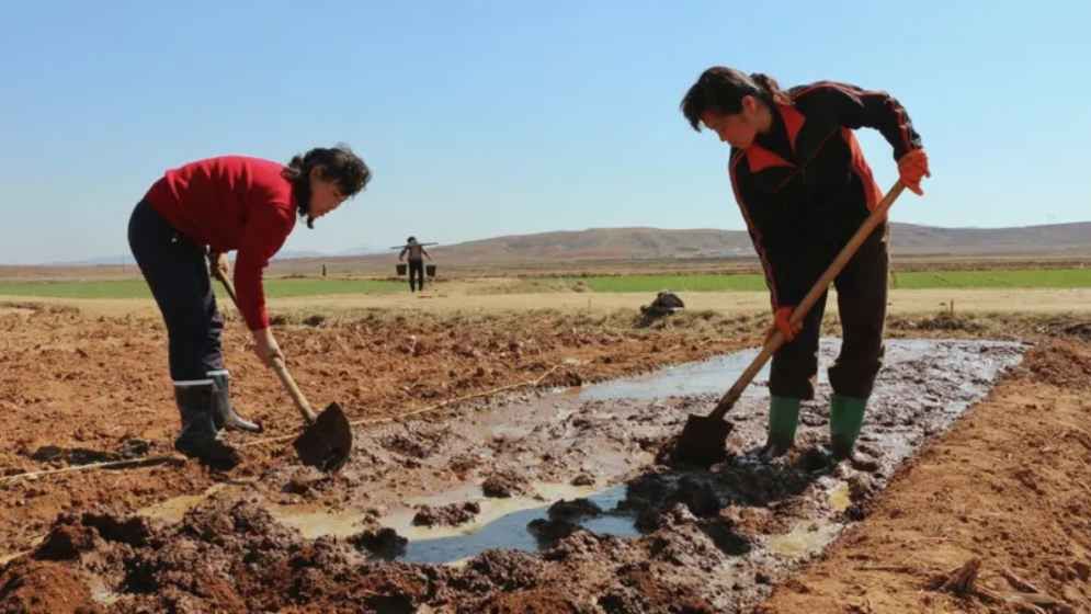 North Korea faces 'severe' drought: state media